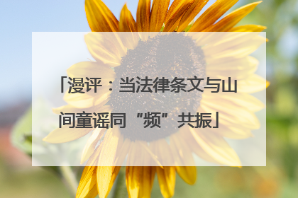 漫评：当法律条文与山间童谣同“频”共振