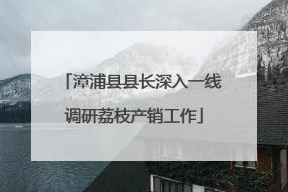 漳浦县县长深入一线调研荔枝产销工作