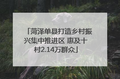 菏泽单县打造乡村振兴集中推进区 惠及十村2.14万群众