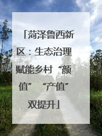 菏泽鲁西新区：生态治理赋能乡村“颜值”“产值”双提升
