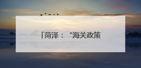 菏泽：“海关政策直通车”自贸协定政策专题宣讲会举行