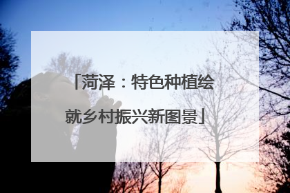 菏泽：特色种植绘就乡村振兴新图景