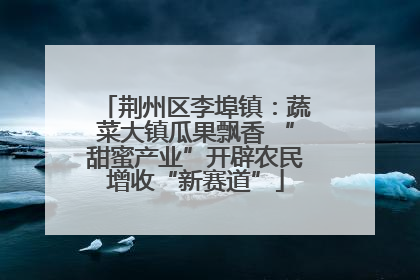 荆州区李埠镇：蔬菜大镇瓜果飘香 “甜蜜产业”开辟农民增收“新赛道”