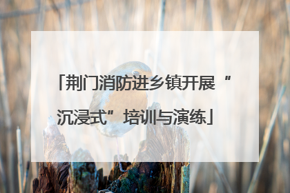 荆门消防进乡镇开展“沉浸式”培训与演练
