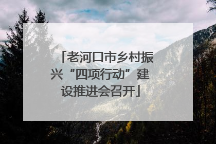 老河口市乡村振兴“四项行动”建设推进会召开