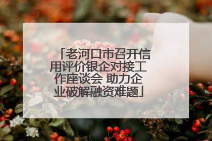 老河口市召开信用评价银企对接工作座谈会 助力企业破解融资难题