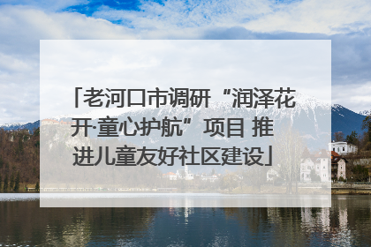 老河口市调研“润泽花开·童心护航”项目 推进儿童友好社区建设
