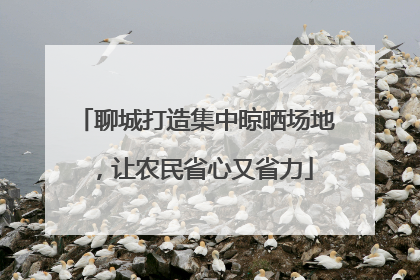 聊城打造集中晾晒场地，让农民省心又省力