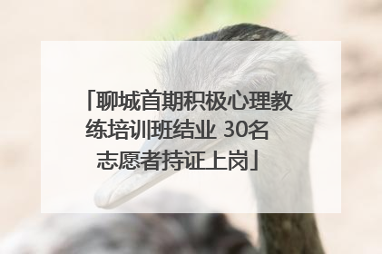 聊城首期积极心理教练培训班结业 30名志愿者持证上岗