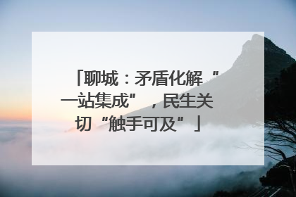 聊城：矛盾化解“一站集成”，民生关切“触手可及”