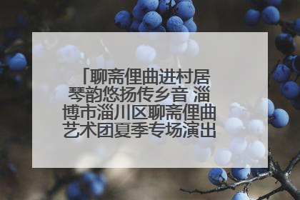 聊斋俚曲进村居 琴韵悠扬传乡音 淄博市淄川区聊斋俚曲艺术团夏季专场演出在杏园子村举行