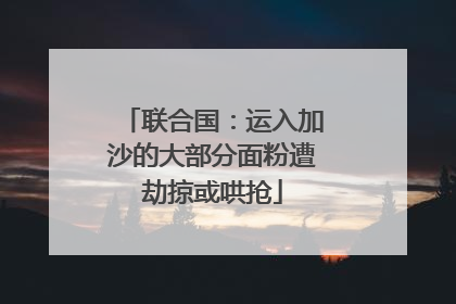 联合国：运入加沙的大部分面粉遭劫掠或哄抢