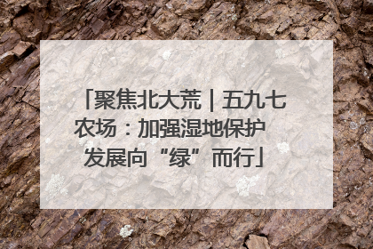 聚焦北大荒｜五九七农场：加强湿地保护 发展向“绿”而行