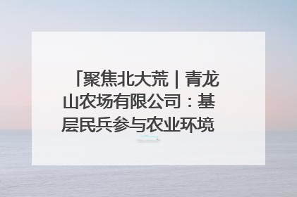 聚焦北大荒｜青龙山农场有限公司：基层民兵参与农业环境综合治理显效