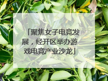 聚焦女子电竞发展，经开区举办游戏电竞产业沙龙