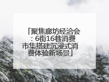 聚焦廊坊经洽会：6街16巷消费市集搭建沉浸式消费体验新场景