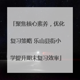 聚焦核心素养，优化复习策略 乐山县街小学提升期末复习效率