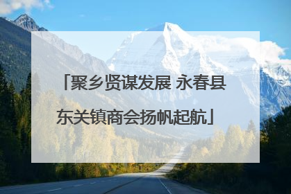 聚乡贤谋发展 永春县东关镇商会扬帆起航