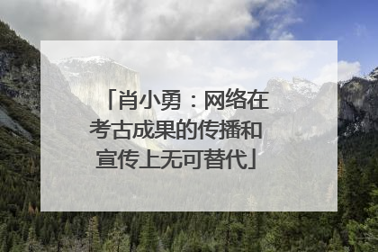 肖小勇：网络在考古成果的传播和宣传上无可替代