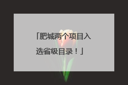 肥城两个项目入选省级目录！