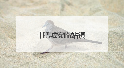 肥城安临站镇优质养老资源福祉更多老人