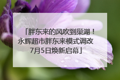 胖东来的风吹到巢湖！永辉超市胖东来模式调改7月5日焕新启幕
