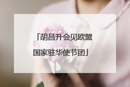 胡昌升会见欧盟国家驻华使节团