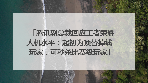 腾讯副总裁回应王者荣耀人机水平：起初为顶替掉线玩家，可秒杀比赛级玩家