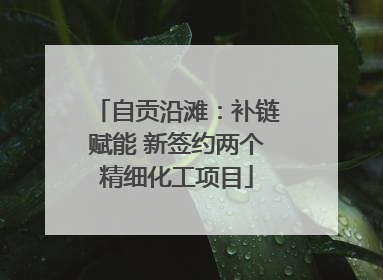 自贡沿滩：补链赋能 新签约两个精细化工项目
