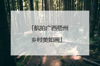 航拍广西梧州乡村美如画