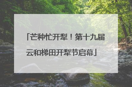 芒种忙开犁！第十九届云和梯田开犁节启幕