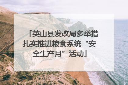 英山县发改局多举措扎实推进粮食系统“安全生产月”活动