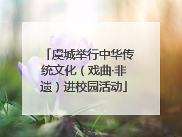 虞城举行中华传统文化（戏曲·非遗）进校园活动