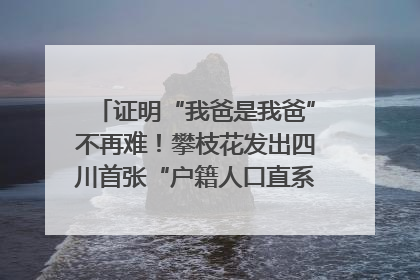 证明“我爸是我爸”不再难！攀枝花发出四川首张“户籍人口直系亲属关系谱”