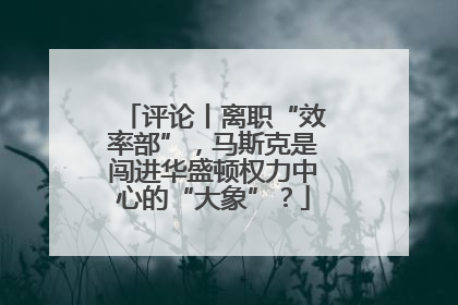 评论丨离职“效率部”，马斯克是闯进华盛顿权力中心的“大象”？