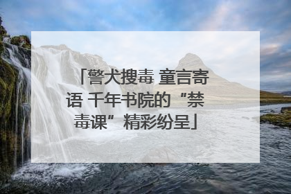 警犬搜毒 童言寄语 千年书院的“禁毒课”精彩纷呈