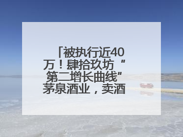 被执行近40万！肆拾玖坊“第二增长曲线”茅泉酒业，卖酒还是卖模式？