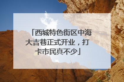 西城特色街区中海大吉巷正式开业，打卡市民真不少