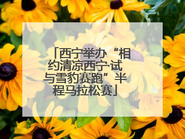 西宁举办“相约清凉西宁·试与雪豹赛跑”半程马拉松赛