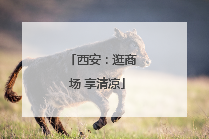 西安：逛商场 享清凉
