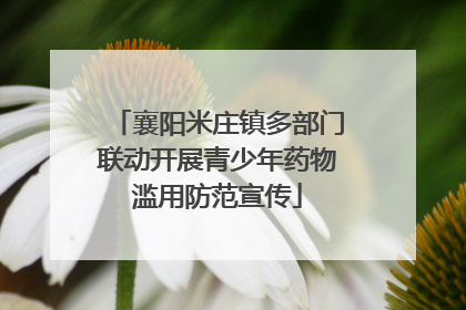 襄阳米庄镇多部门联动开展青少年药物滥用防范宣传