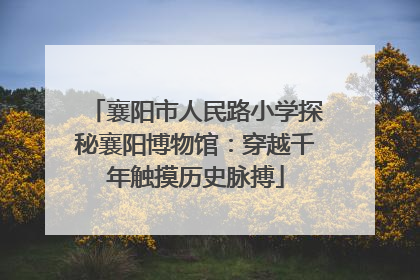 襄阳市人民路小学探秘襄阳博物馆：穿越千年触摸历史脉搏