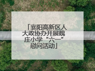 襄阳高新区人大政协办开展魏庄小学“六一”慰问活动