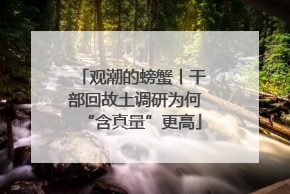 观潮的螃蟹丨干部回故土调研为何“含真量”更高