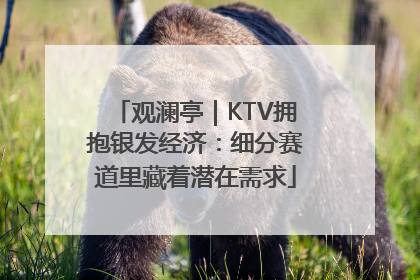 观澜亭｜KTV拥抱银发经济：细分赛道里藏着潜在需求