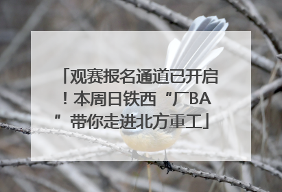 观赛报名通道已开启！本周日铁西“厂BA”带你走进北方重工