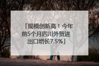 规模创新高！今年前5个月四川外贸进出口增长7.5%