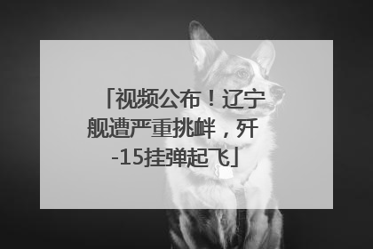 视频公布！辽宁舰遭严重挑衅，歼-15挂弹起飞