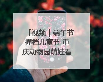 视频｜端午节撞档儿童节 重庆动物园萌娃看萌兽吃特色粽子大餐