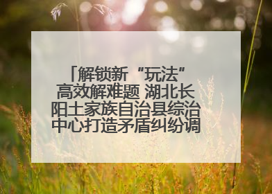 解锁新“玩法” 高效解难题 湖北长阳土家族自治县综治中心打造矛盾纠纷调处“终点站”